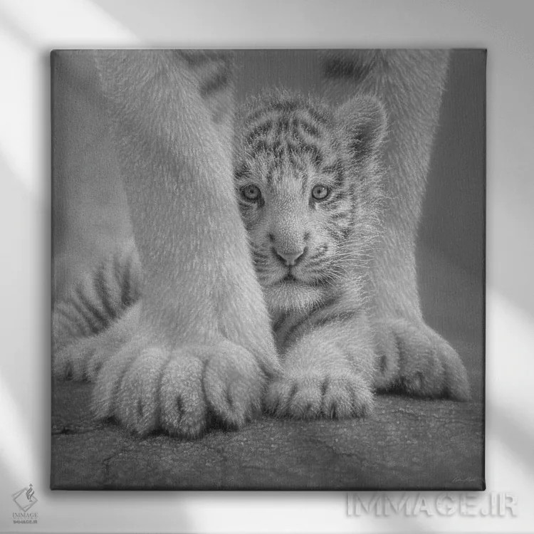 تابلو بچه ببر سفید اثر کالین بوگل - نمای روبهرو روی دیوار