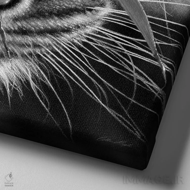 تابلو چشمهای ببر و بامبو (سیاه و سفید) اثر کالین بوگل - نمای نزدیک بافت بوم