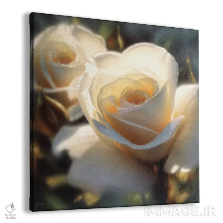تابلو رنگهای رز سفید (مربعی) اثر کالین بوگل - نمای پرسپکتیو محصول
