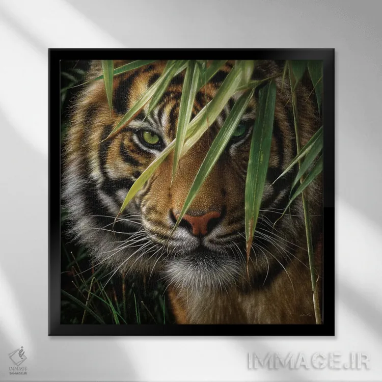 تابلو ببر اثر کالین بوگل - نمای قابدار مشکی