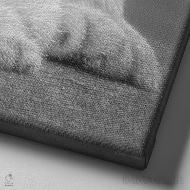 تابلو بچه ببر سفید اثر کالین بوگل - نمای نزدیک بافت بوم