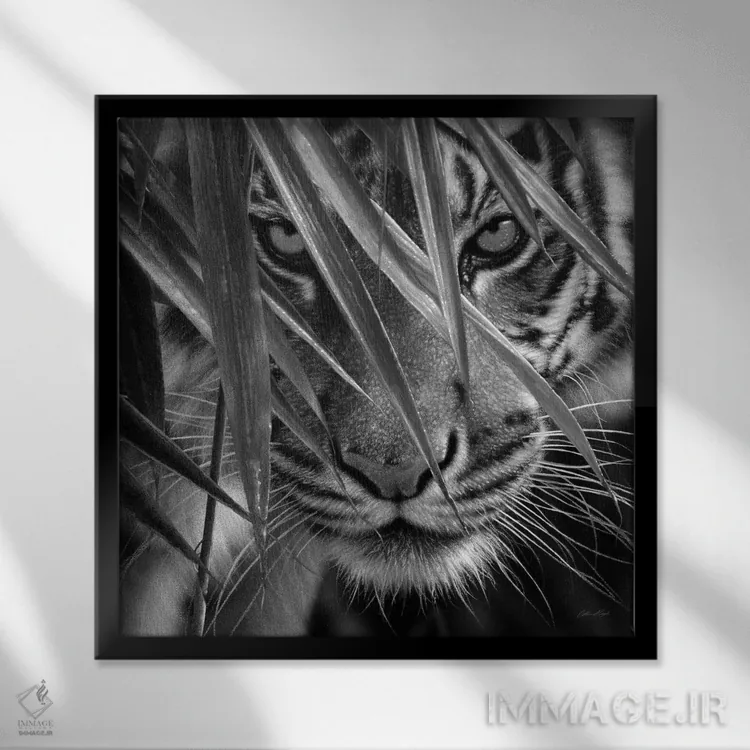 تابلو چشمهای ببر و بامبو (سیاه و سفید) اثر کالین بوگل - نمای قابدار مشکی