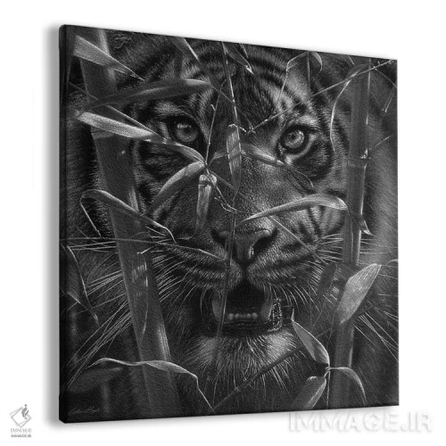 تابلو ببر اثر کالین بوگل - نمای پرسپکتیو محصول