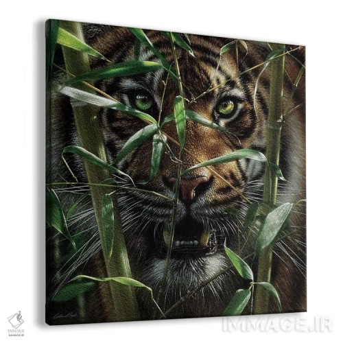 تابلو ببر اثر کالین بوگل - نمای پرسپکتیو محصول