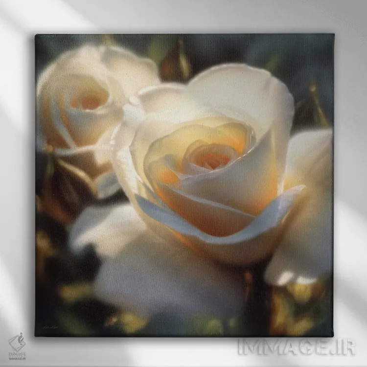 تابلو رنگهای رز سفید (مربعی) اثر کالین بوگل - نمای روبهرو روی دیوار