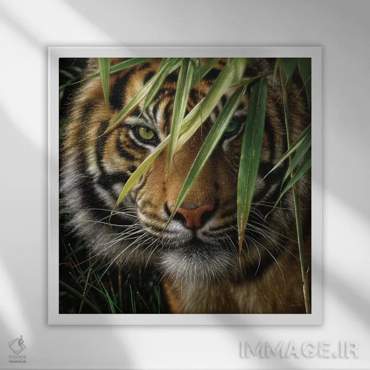 تابلو ببر اثر کالین بوگل - نمای قابدار سفید