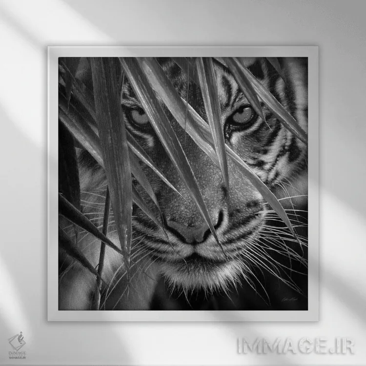 تابلو چشمهای ببر و بامبو (سیاه و سفید) اثر کالین بوگل - نمای قابدار سفید