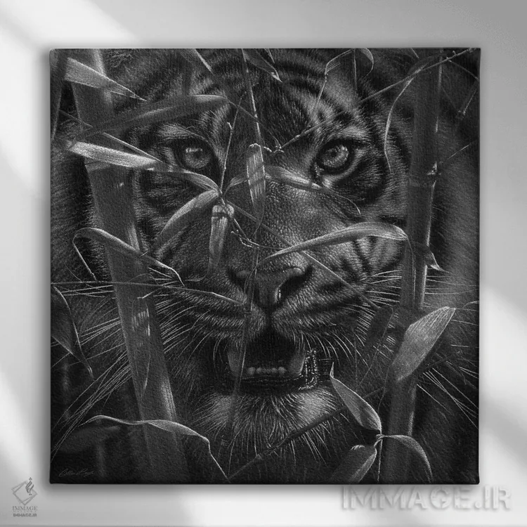 تابلو ببر اثر کالین بوگل - نمای روبهرو روی دیوار