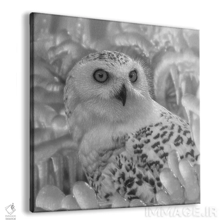 تابلو پناهگاه جغد برفی اثر کالین بوگل - نمای پرسپکتیو محصول