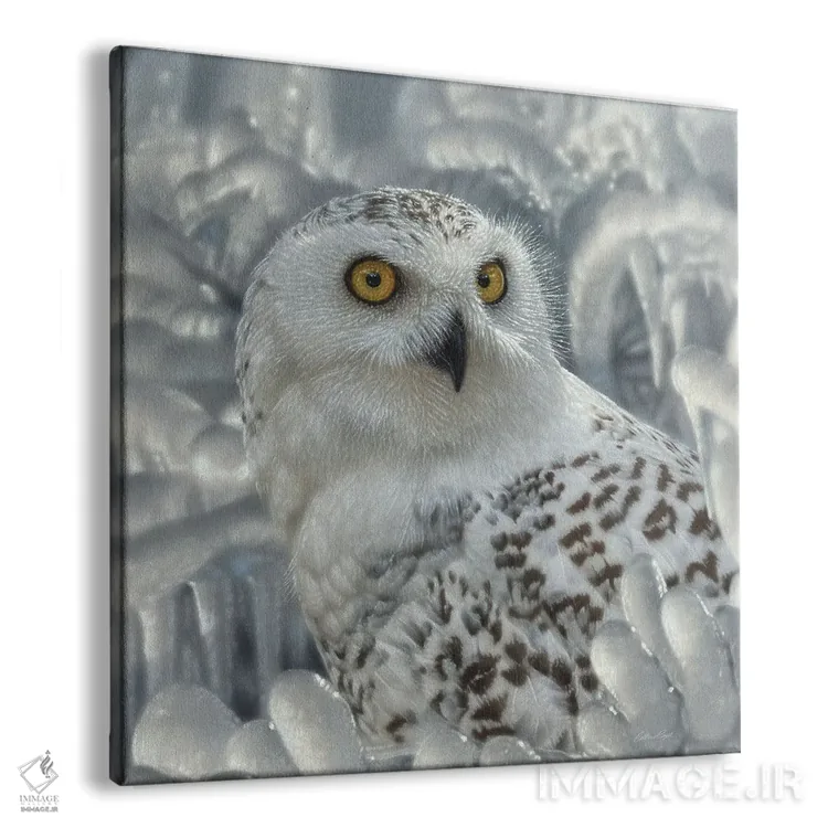 تابلو پناهگاه جغد برفی اثر کالین بوگل - نمای پرسپکتیو محصول