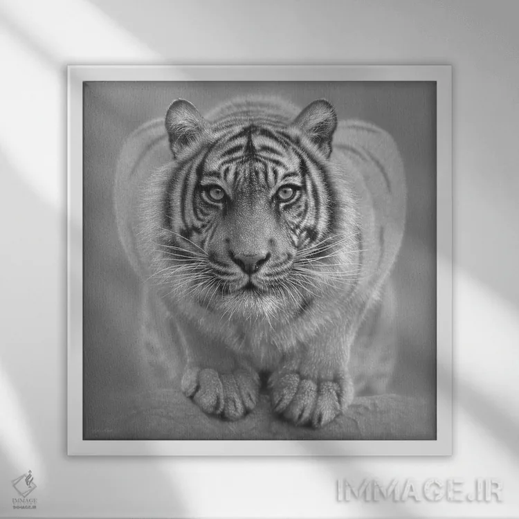 تابلو ببر سفید اثر کالین بوگل - نمای قابدار سفید