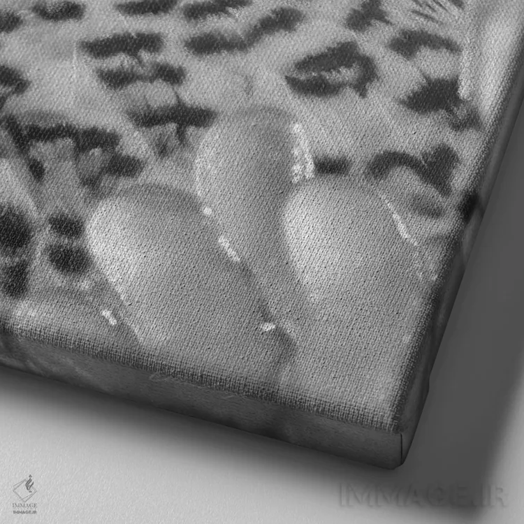 تابلو پناهگاه جغد برفی اثر کالین بوگل - نمای نزدیک بافت بوم