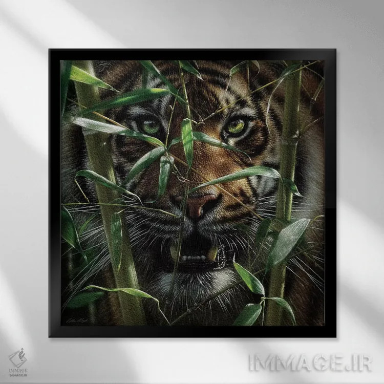 تابلو ببر اثر کالین بوگل - نمای قابدار مشکی