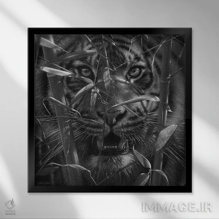 تابلو ببر اثر کالین بوگل - نمای قابدار مشکی