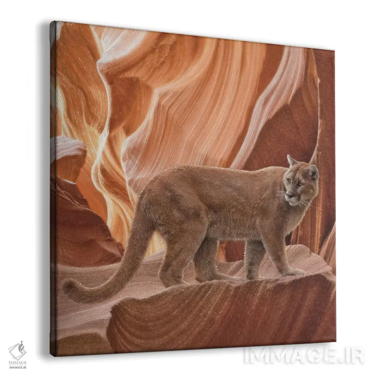 تابلو درهٔ پوما اثر کالین بوگل - نمای پرسپکتیو محصول