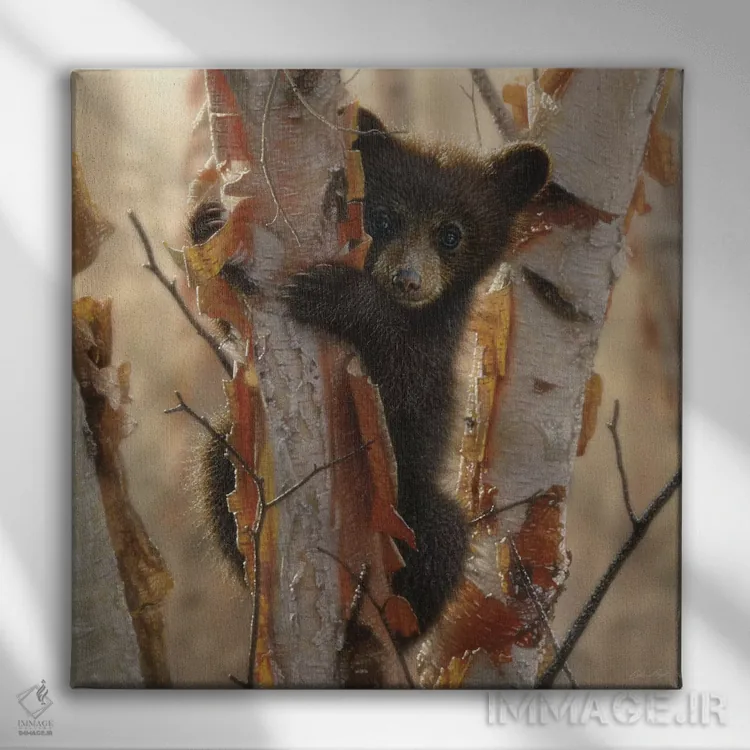 تابلو بچهخرس سیاه کنجکاو شماره ۲ (مربع) اثر کالین بوگل - نمای روبهرو روی دیوار