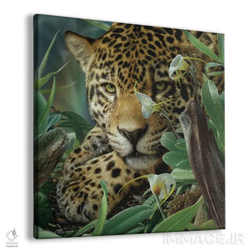 تابلو پناهگاه جگوار (مربع) اثر کالین بوگل - نمای پرسپکتیو محصول