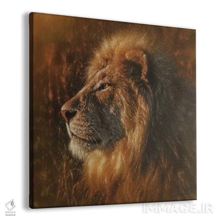 تابلو شیر در حال آفتاب گرفتن اثر کالین بوگل - نمای پرسپکتیو محصول