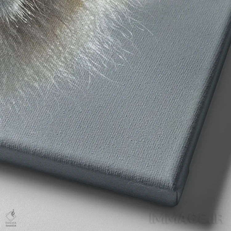 تابلو پرترهٔ شیر سفید اثر کالین بوگل - نمای نزدیک بافت بوم