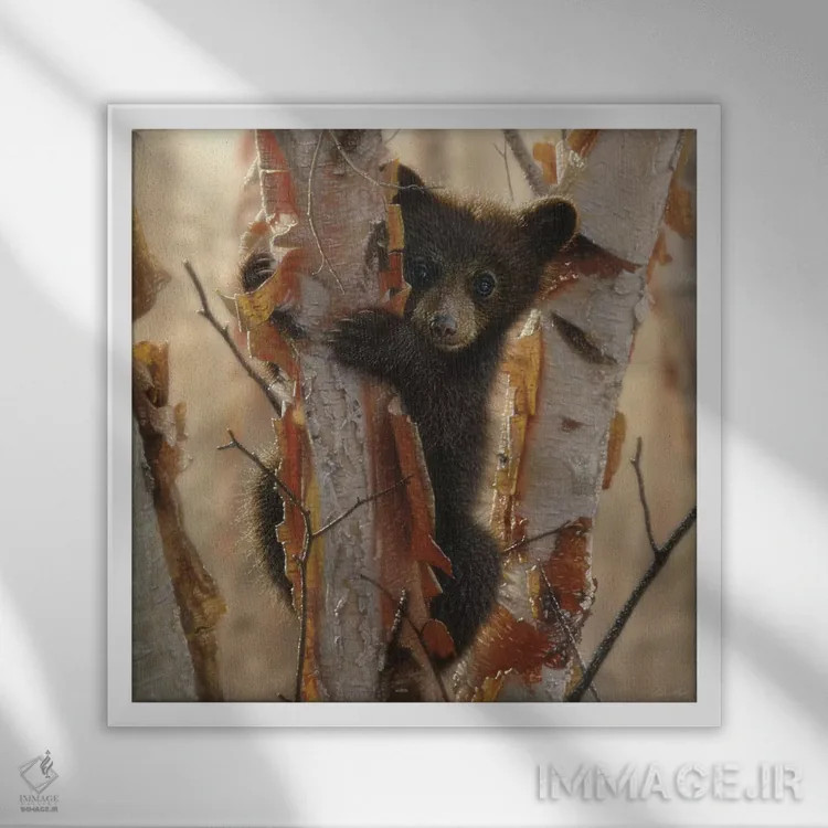 تابلو بچهخرس سیاه کنجکاو شماره ۲ (مربع) اثر کالین بوگل - نمای قابدار سفید