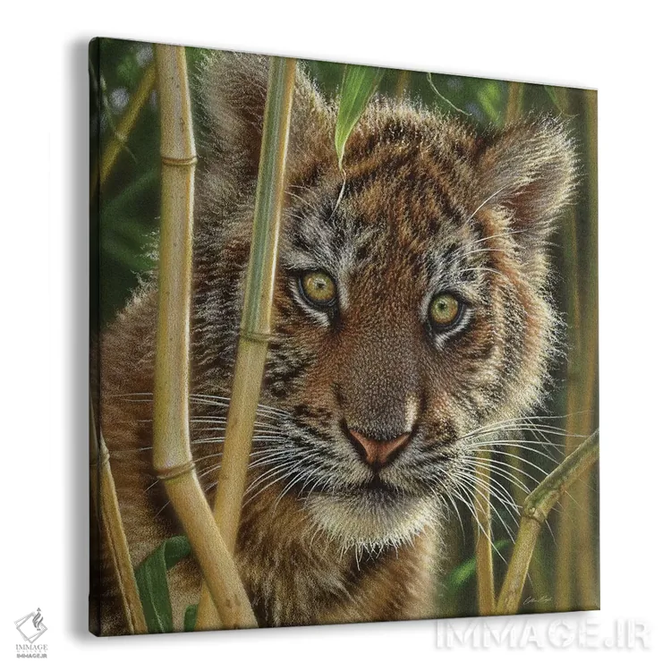 تابلو کشف بچه ببر (مربع) اثر کالین بوگل - نمای پرسپکتیو محصول