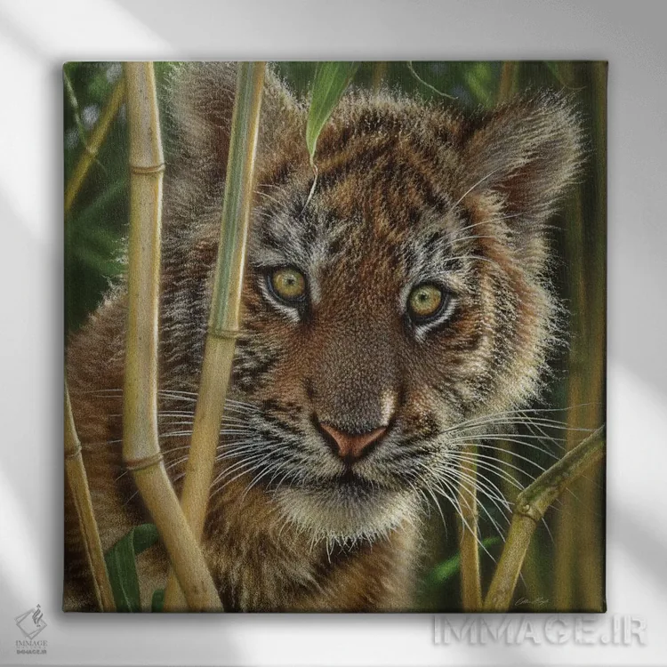 تابلو کشف بچه ببر (مربع) اثر کالین بوگل - نمای روبهرو روی دیوار