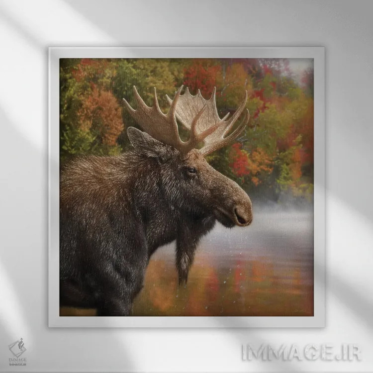 تابلو گوزن شمالی پاییزی اثر کالین بوگل - نمای قابدار سفید