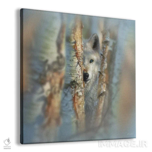 تابلو متمرکز اثر کالین بوگل - نمای پرسپکتیو محصول