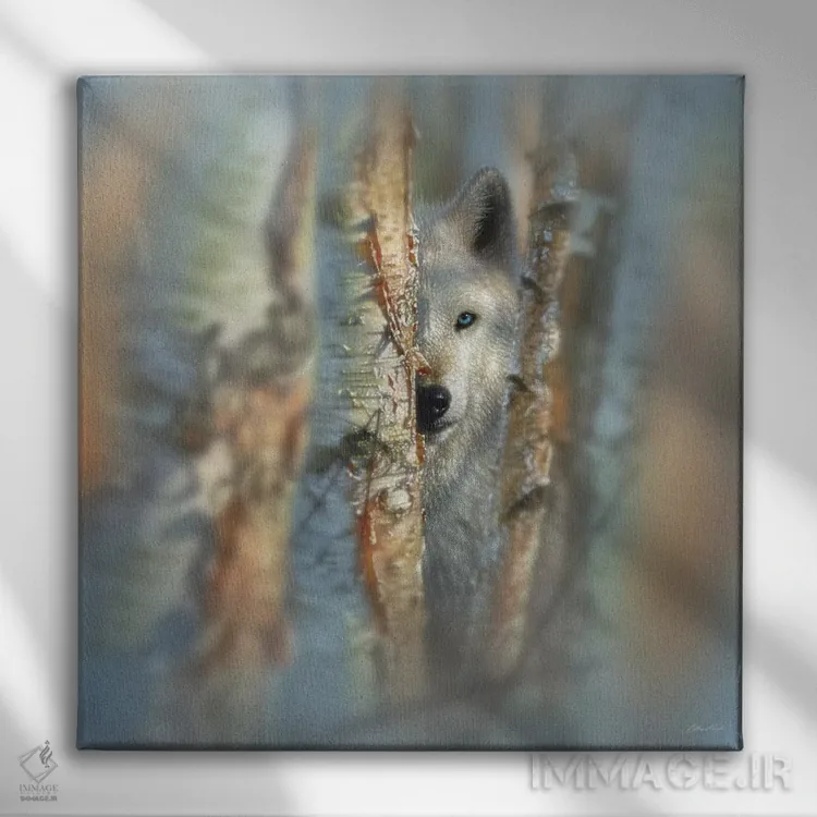 تابلو متمرکز اثر کالین بوگل - نمای روبهرو روی دیوار