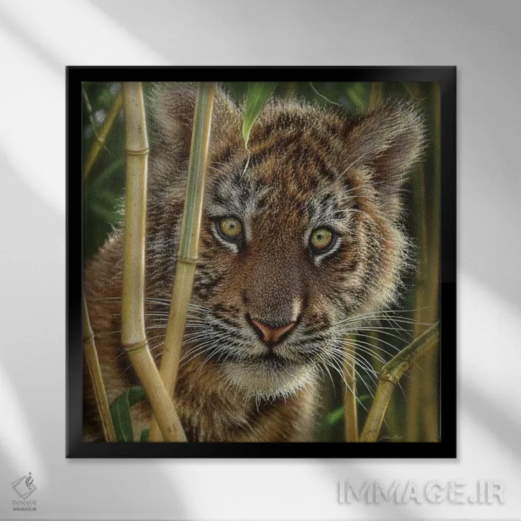 تابلو کشف بچه ببر (مربع) اثر کالین بوگل - نمای قابدار مشکی