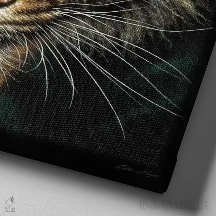 تابلو چشم ببر (مربع) اثر کالین بوگل - نمای نزدیک بافت بوم