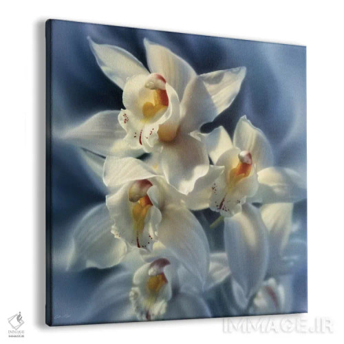 تابلو ارکیدهها (مربع) اثر کالین بوگل - نمای پرسپکتیو محصول