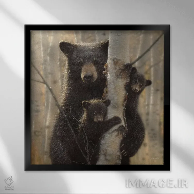 تابلو مادر خرس سیاه (مربع) اثر کالین بوگل - نمای قابدار مشکی