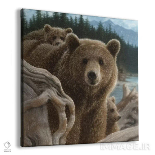 تابلو خرسهای قهوهای کولهپشتی به دوش (مربع) اثر کالین بوگل - نمای پرسپکتیو محصول