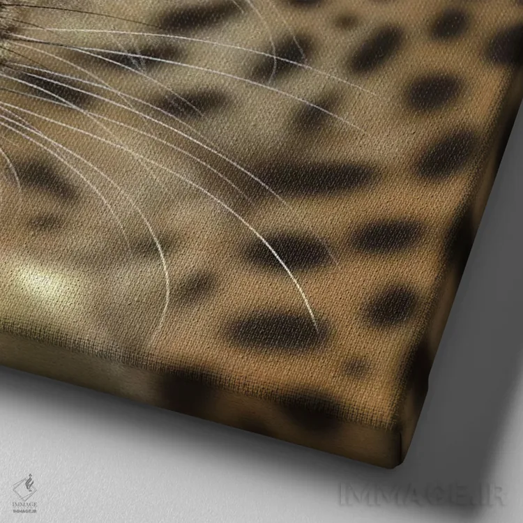 تابلو در تعقیب شکار اثر کالین بوگل - نمای نزدیک بافت بوم