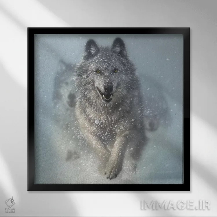 تابلو برفروب اثر کالین بوگل - نمای قابدار مشکی