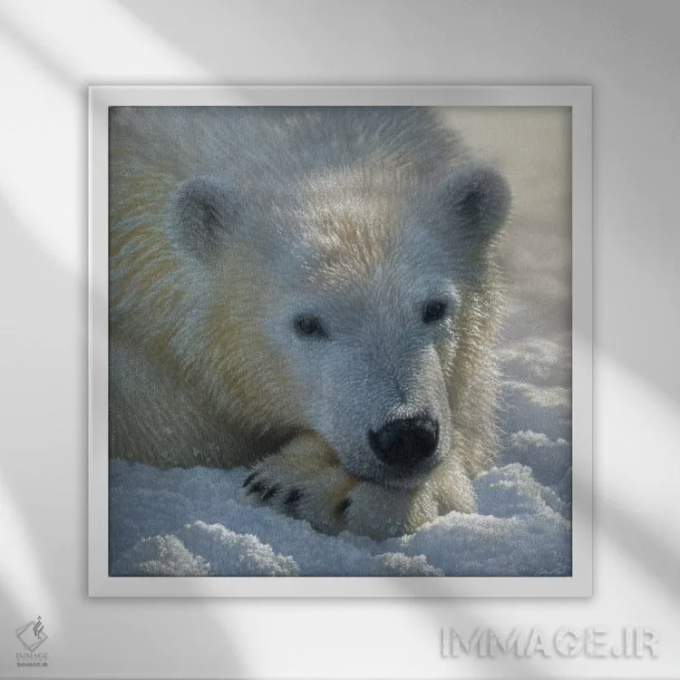 تابلو بچه خرس قطبی (مربع) اثر کالین بوگل - نمای قابدار سفید