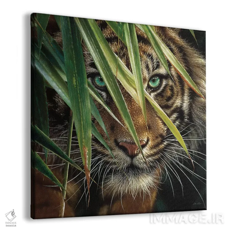 تابلو چشمهای ببر (مربع) اثر کالین بوگل - نمای پرسپکتیو محصول