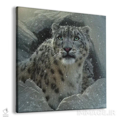 تابلو قلعهٔ پلنگ برفی (مربع) اثر کالین بوگل - نمای پرسپکتیو محصول