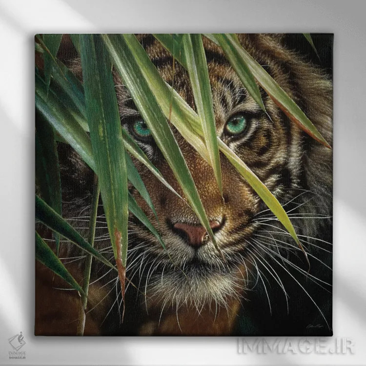 تابلو چشمهای ببر (مربع) اثر کالین بوگل - نمای روبهرو روی دیوار