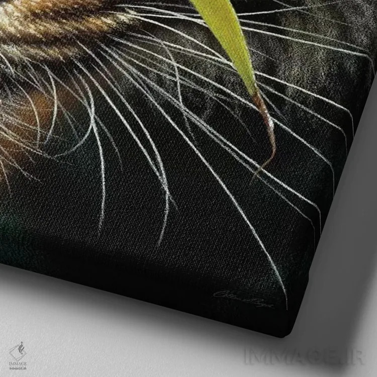 تابلو چشمهای ببر (مربع) اثر کالین بوگل - نمای نزدیک بافت بوم