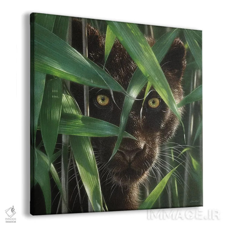 تابلو چشمان وحشی اثر کالین بوگل - نمای پرسپکتیو محصول