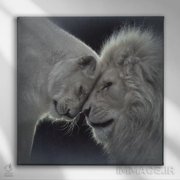 تابلو عشق شیر سفید (مربع) اثر کالین بوگل - نمای روبهرو روی دیوار