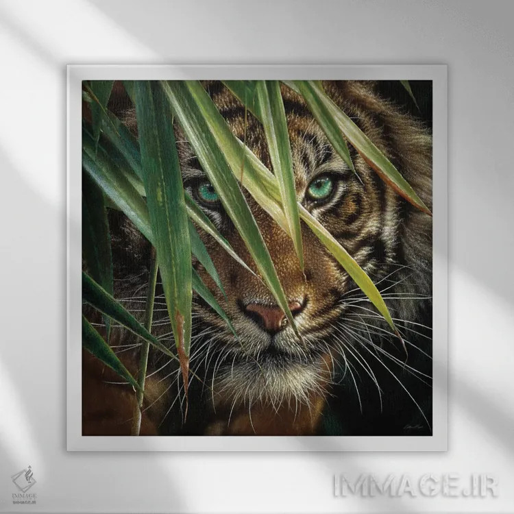 تابلو چشمهای ببر (مربع) اثر کالین بوگل - نمای قابدار سفید