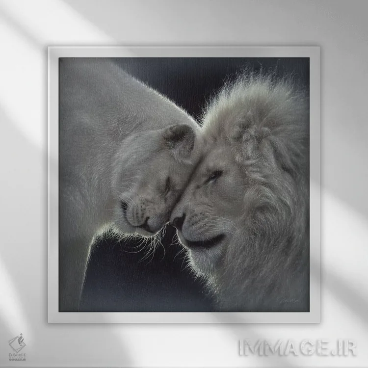 تابلو عشق شیر سفید (مربع) اثر کالین بوگل - نمای قابدار سفید