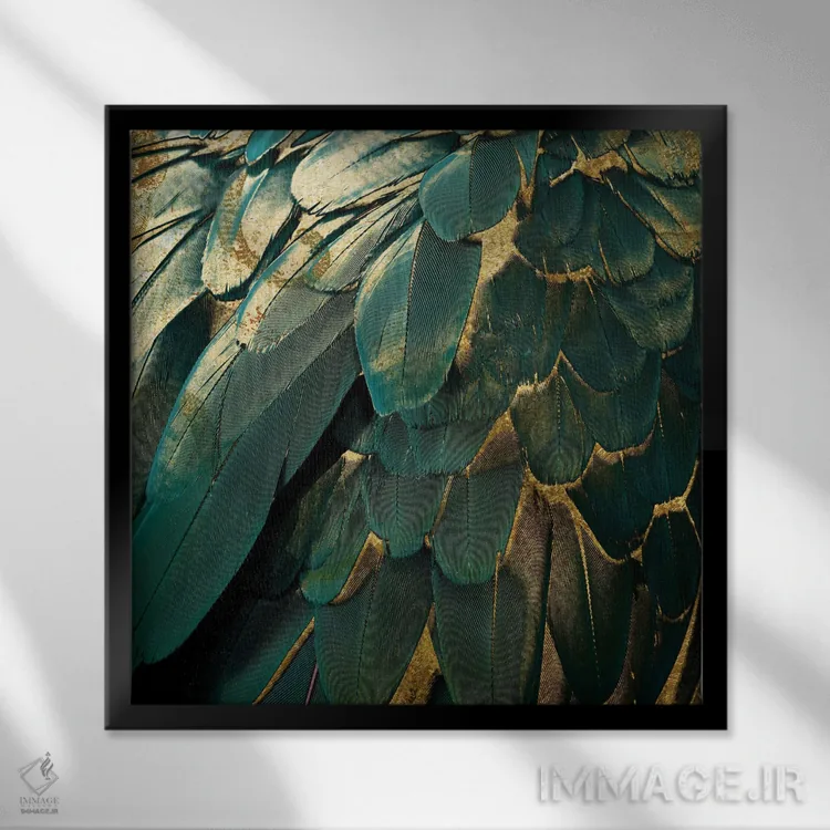 تابلو درخشش پرها اثر ساشا - نمای قابدار مشکی
