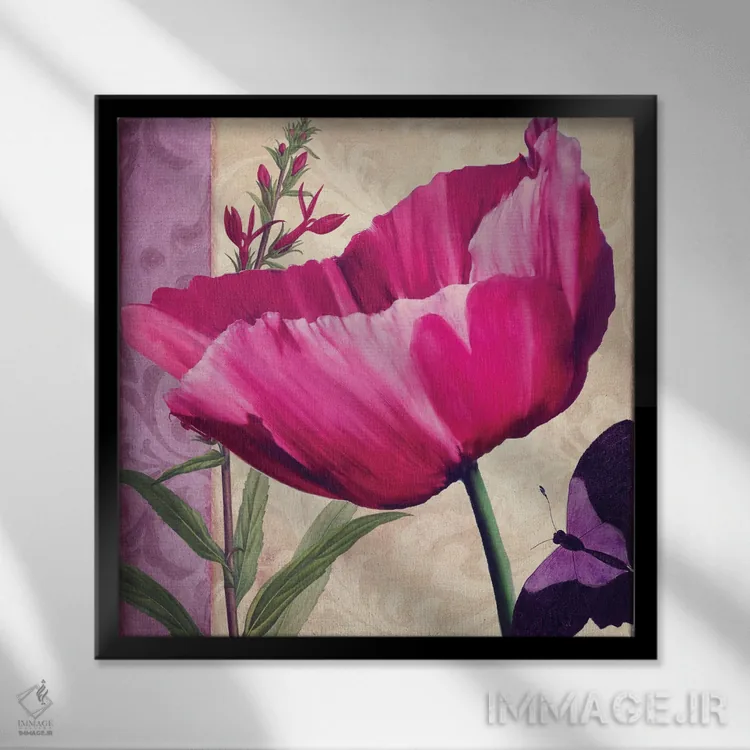 تابلو خشخاش صورتی I اثر ساشا - نمای قابدار مشکی