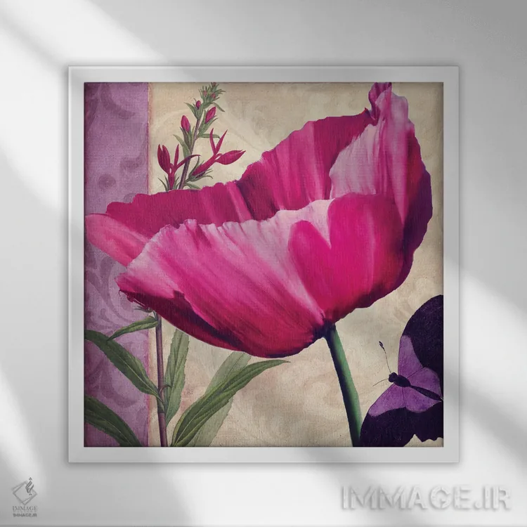 تابلو خشخاش صورتی I اثر ساشا - نمای قابدار سفید