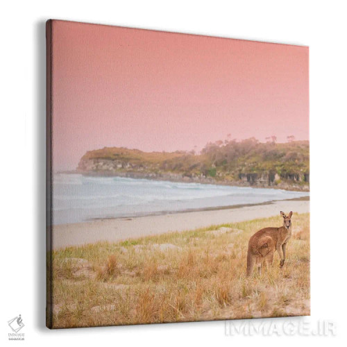 تابلو رو (احتمالاً نام حیوان یا مخفف روئو) اثر شارلوت کرد - نمای پرسپکتیو محصول