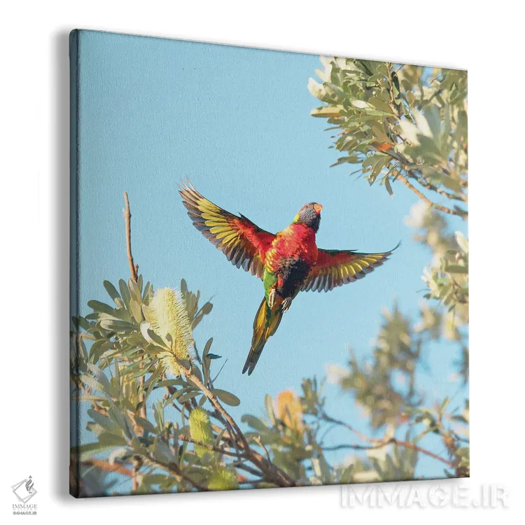 تابلو کامیون (یا "لورری" بستگی به اثر) اثر شارلوت کرد - نمای پرسپکتیو محصول